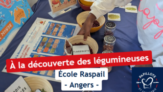 À la découverte des légumineuses !