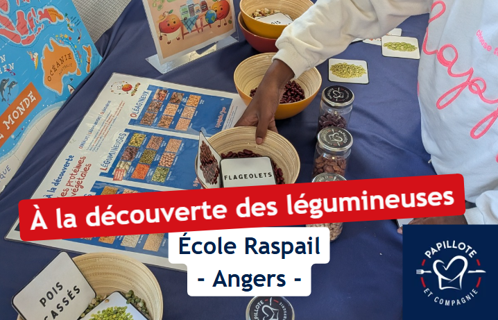 À la découverte des légumineuses !